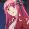 華
WWW