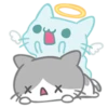 What does the cat say ... Meow 6
