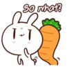 Moose the rabbit & Babe Carrot 6