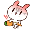 Moose the rabbit & Babe Carrot 7