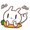 Moose the rabbit & Babe Carrot 8