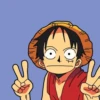 One Piece 13