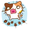 What does the cat say ... Meow 9