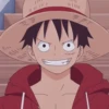 Monkey D. Luffy 11
