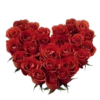 My Love 15