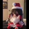 Plush 12