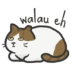NTU Campus Cats 6