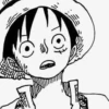 Monkey D. Luffy 14
