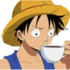 ONE PIECE 13