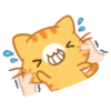 What does the cat say ... Meow 11