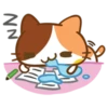 NN
运