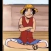 Mugiwara Crew 16