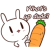 Moose the rabbit & Babe Carrot 15