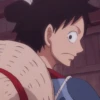 Monkey D. Luffy 19