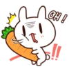 Moose the rabbit & Babe Carrot 25