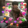 nct heart meme 22