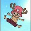 Mugiwara Crew 24