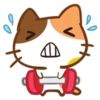 TO