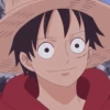 Monkey D. Luffy 26