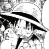 Monkey D. Luffy 28