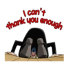 I can't
thank you enough