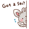 Pokémon Yurutto 8