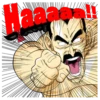 DRAGONBALL 15