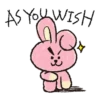 UNIVERSTAR BT21- Cool Kids 15