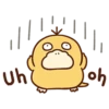 Pokémon Yurutto 15