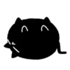 Black Cat 20