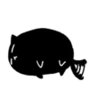 Black Cat 25