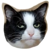Caters Gonna Cate 29