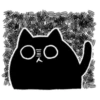 Black Cat 27