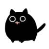 Black Cat 28