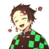 Demon slayer 30