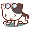 Cute Cat Daily life 5