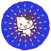 Cute Cat Daily life 6