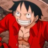 OnePieceMatrix 5