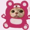cute cats 5