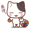 Cute Cat Daily life 7