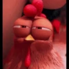 Nafise the chicken 5