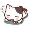 Cute Cat Daily life 8
