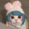 cute cats 7