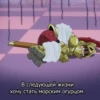 one piece 5