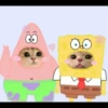 cute cats 8