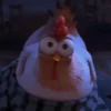 Nafise the chicken 6