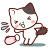 Cute Cat Daily life 9