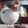 Nafise the chicken 7