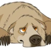 Nighty the Bear 8