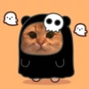 cute cats 12